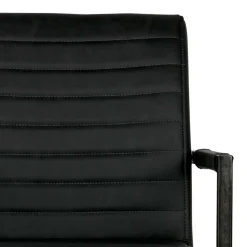 Armlehnen Freischwinger Davadus