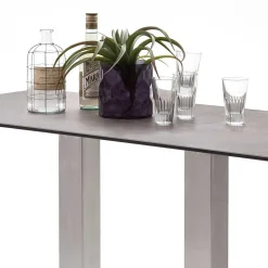 Bartisch Spring