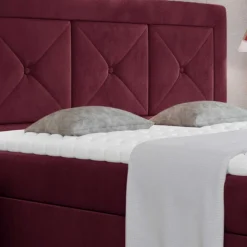 Boxbett Cigano