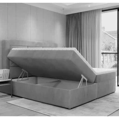 Boxbett Cigano