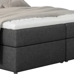 Boxbett Luvega