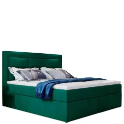 Boxbett Narcisso