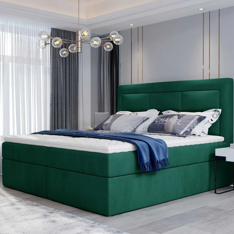 Boxbett Narcisso