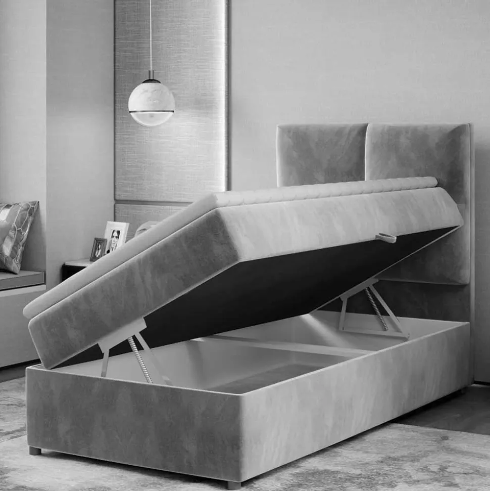 Boxbett Scolava