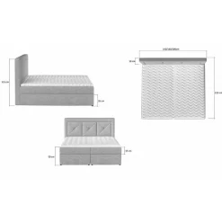 Boxbett Xenata