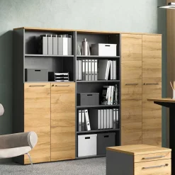 Büroschrank Zaraktis