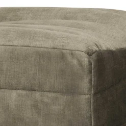Couchhocker Iliopona