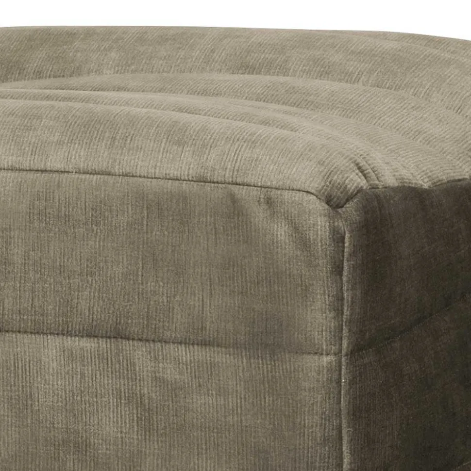 Couchhocker Iliopona