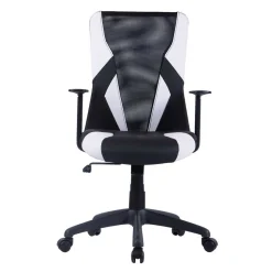 Ergonomischer Bürostuhl Allaire