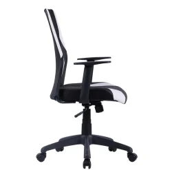 Ergonomischer Bürostuhl Allaire