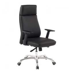 Ergonomischer Bürostuhl Melica
