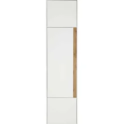 Moderner Officeschrank Rascian