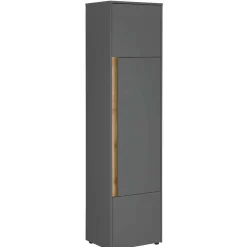 Modernes Arbeitszimmer Uzniana