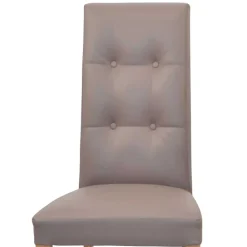 Polsterstühle Forcia