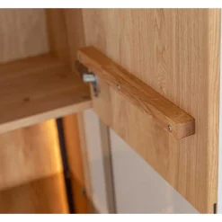 Schrank Vitrine mit Regal Rusaly