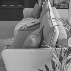 Sofa Cranies