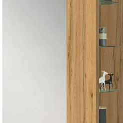 Spiegel Schuhschrank Viraldina