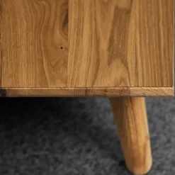 TV Phonoschrank Triancova
