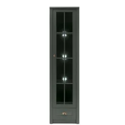 Vitrine Clujia