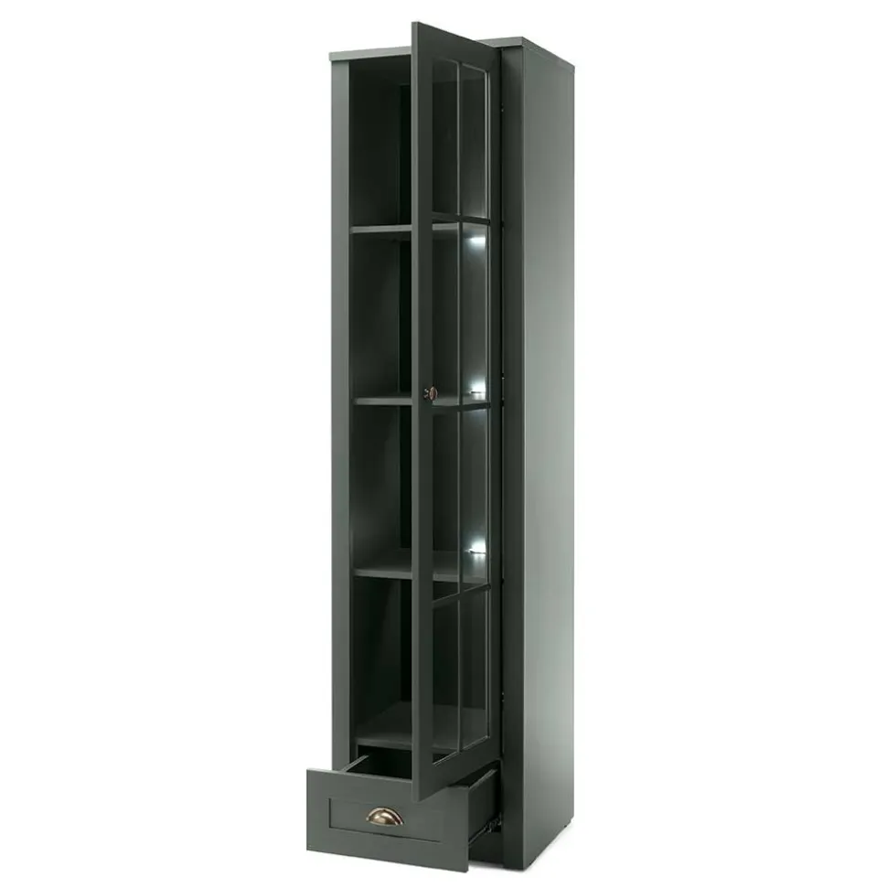 Vitrine Clujia