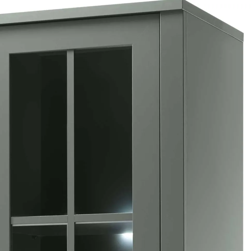 Vitrine Clujia